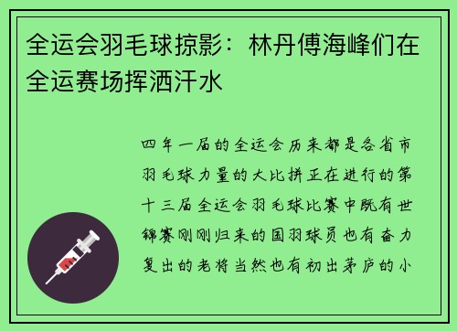 全运会羽毛球掠影：林丹傅海峰们在全运赛场挥洒汗水